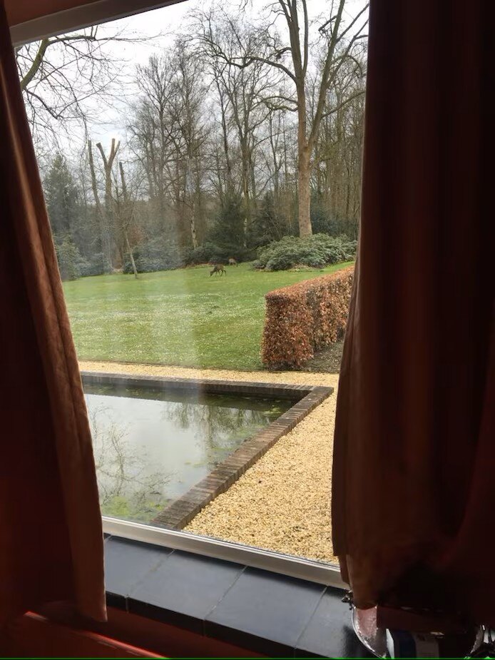 maandag-nog-zag-herman-hulshof-reeen-vanuit-het-raam